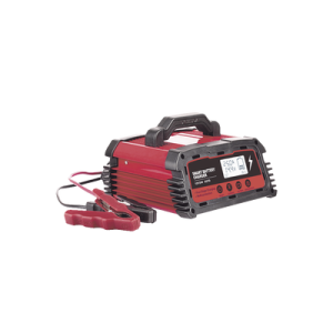Cargador de Baterías 12 o 24 Vcc 250 Ah 25 A con Display LCD