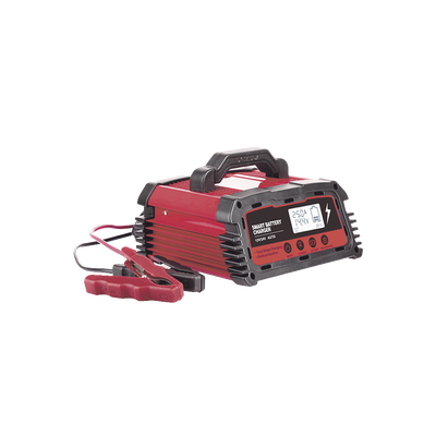 Cargador de Baterías 12 o 24 Vcc 250 Ah 25 A con Display LCD
