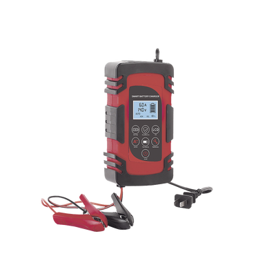 Cargador de Baterías 12 o 24 Vcc hasta 40 Ah con Display LCD